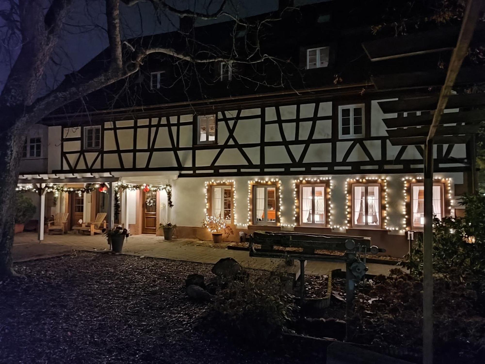 Boutique-Hotel Krone Denzlingen Kültér fotó